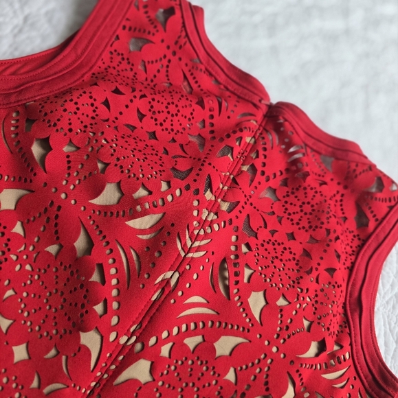 Tadashi Shoji Lasercut Lace Sleeveless Dress - Red Small - Picture 11 of 16